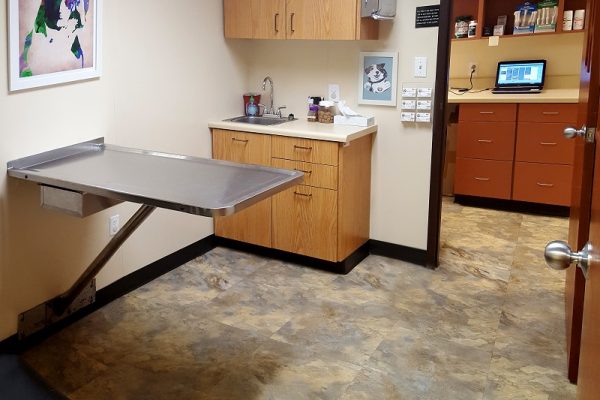 Exam Room 3