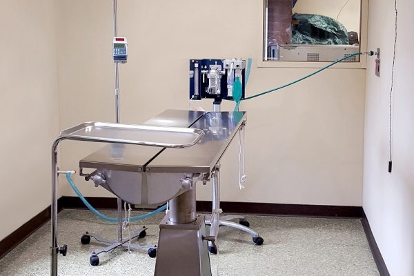 Surgery