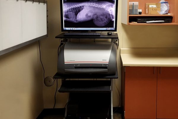 Digital X-ray Processor