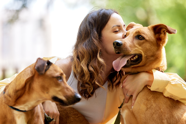 image for Happy Barkday! Celebrate the Universal Birthday of Shelter Dogs